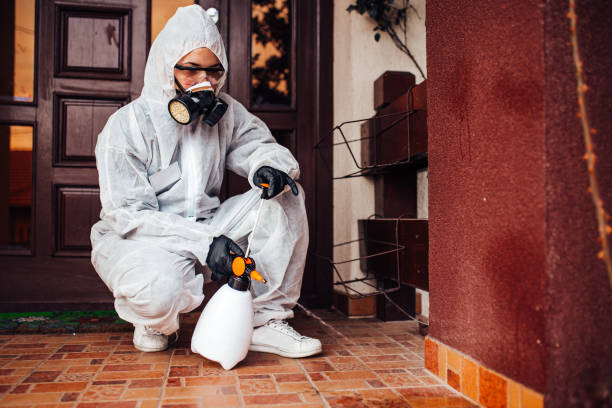 Reliable Ant Control contractor in Pearl River, MS by Nex Pest Control