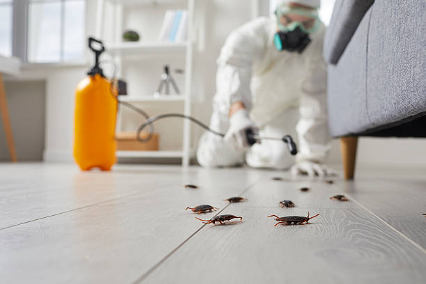 Trusted Termite Control service in Pearl River, MS - Nex Pest Control