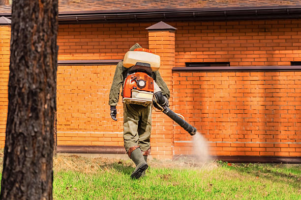 Trusted Rodent Control service in Pearl River, MS - Nex Pest Control